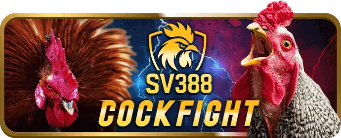 Đăng nhập 33win an toàn